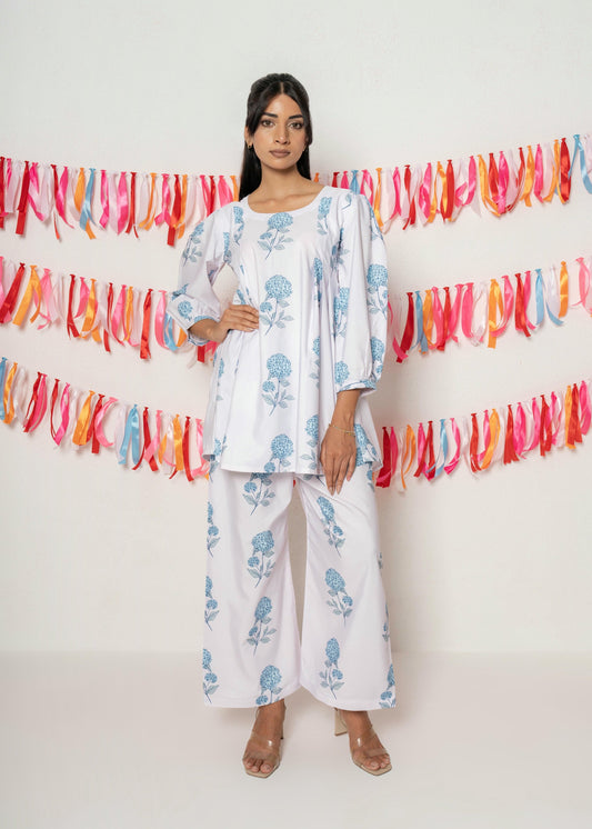 The Duo Edit Co-ord Set D6231 - kharidari