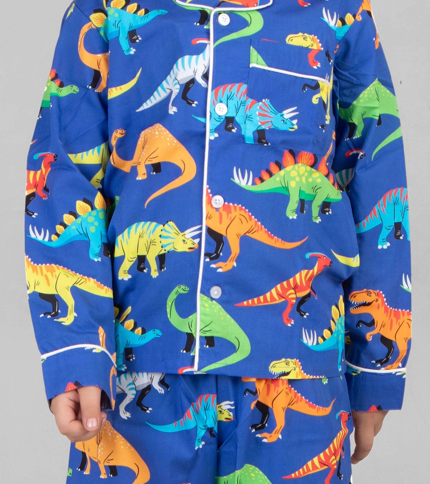 Blue Dino Printed Night Suit Set for Boys D137