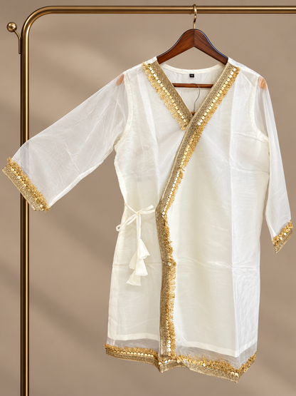 Ivory Gold Embellished Crystal Organza Fusion Co-ord Set for Women D6371
