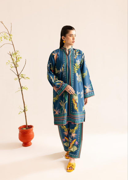 Stylish And Beautiful Co-ord Set D6125