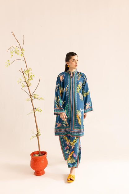Stylish And Beautiful Co-ord Set D6125