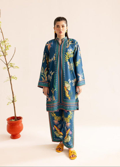 Stylish And Beautiful Co-ord Set D6125