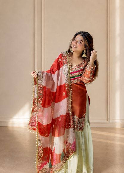 Rust Orange Designer Embroidered Kurta Palazzo Set with Organza Dupatta for Women D6349