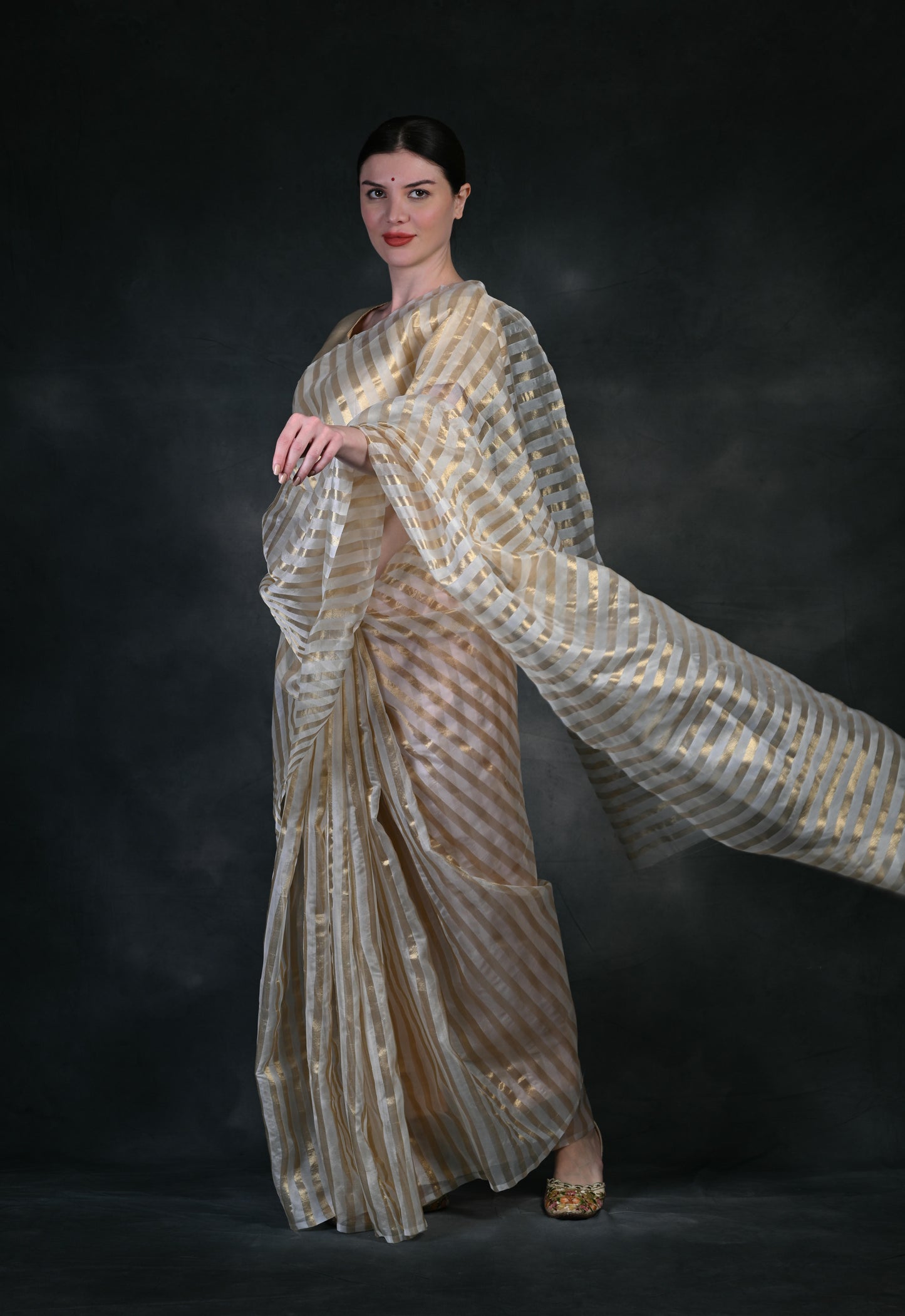 Women's Modern Stripe Design Organza Saree VT4002