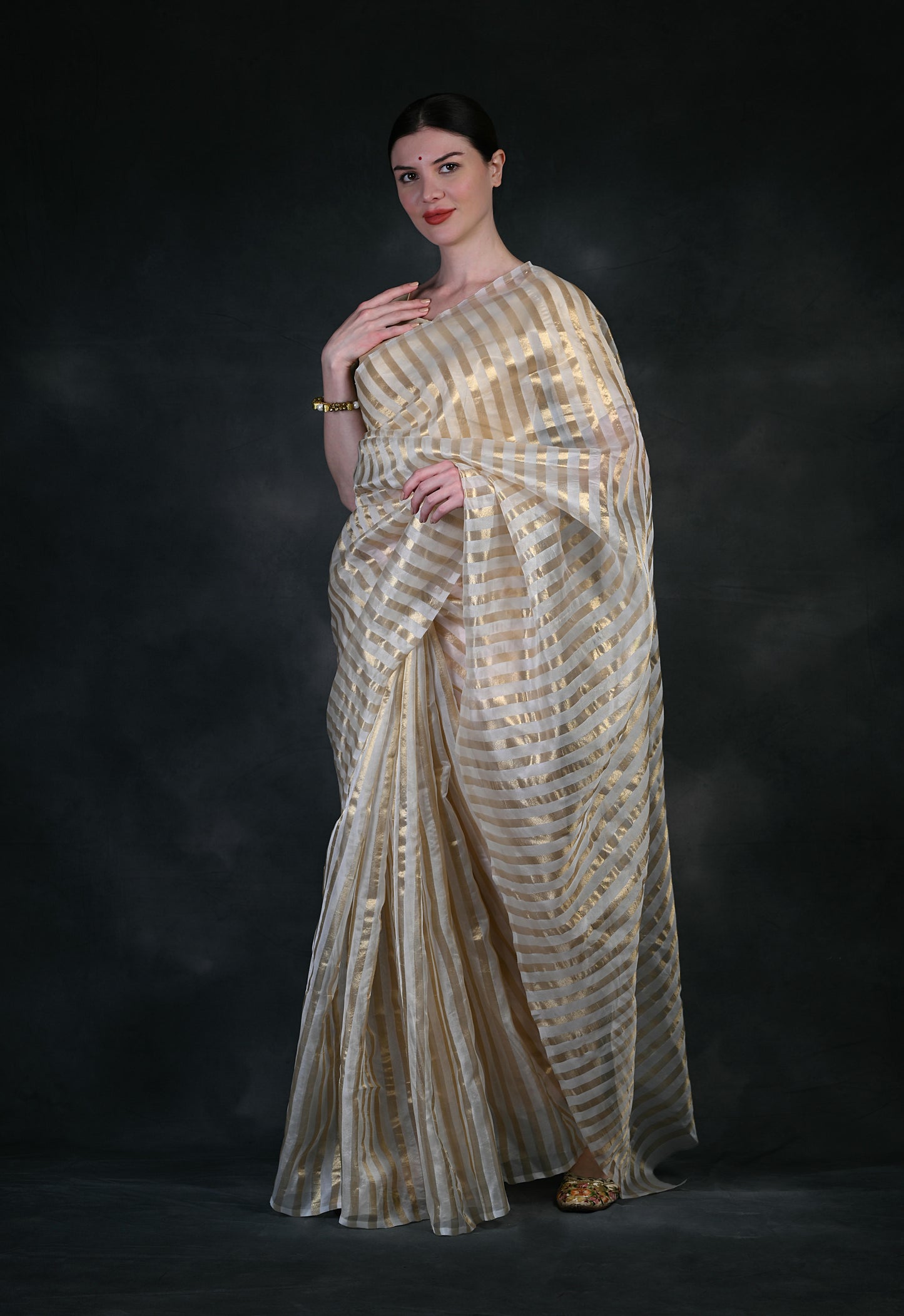 Women's Modern Stripe Design Organza Saree VT4002